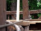 2003-0375