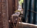 2003-0398