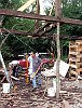 2003-0531