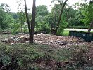 2003-0604