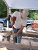 2003-0679