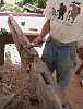2003-0869