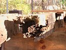 2003-0951